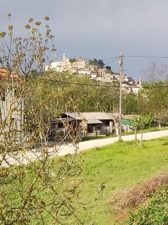 Apartman Tramonto Motovun Exteriér fotografie